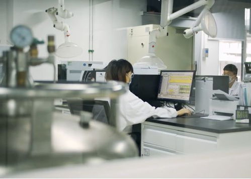 生產活力有序恢復，儀器儀表綜合服務與物聯網應用雙輪驅動助力企業提質增效